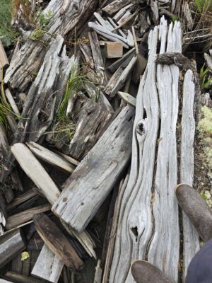 a pile of cut wood (MyCoast AI)