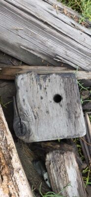 a birdhouse with a hole in it (MyCoast AI)