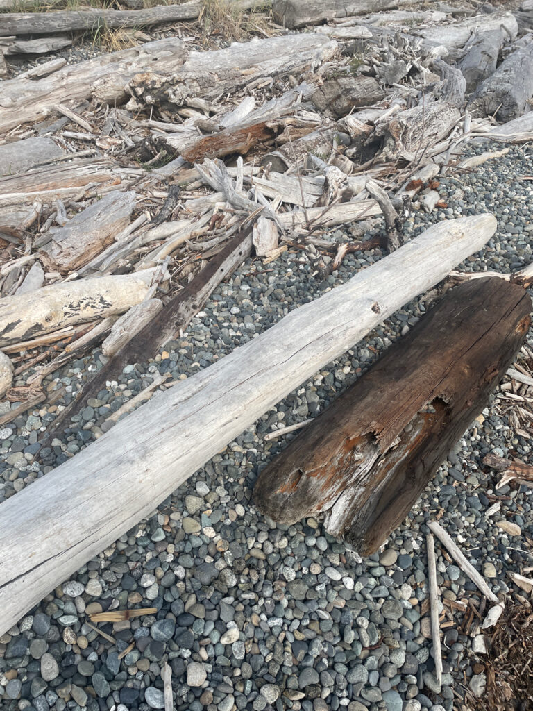 a broken wood bench (MyCoast AI)