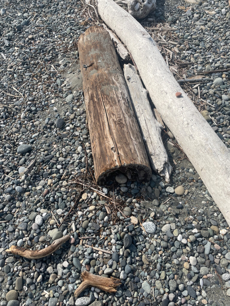 a wooden bench on a rocky beach (MyCoast AI)