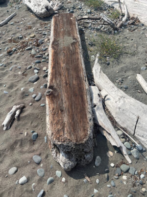 a couple of wooden logs in a rocky area (MyCoast AI)