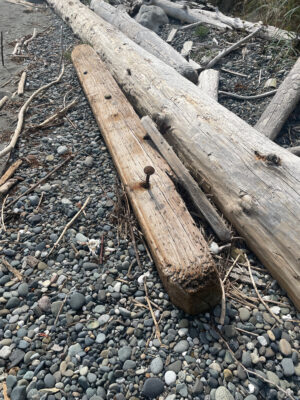 a wooden bench on a rocky beach (MyCoast AI)