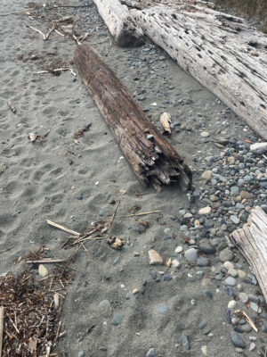 a couple of wooden benches (MyCoast AI)