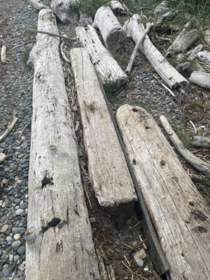 a group of wood planks (MyCoast AI)