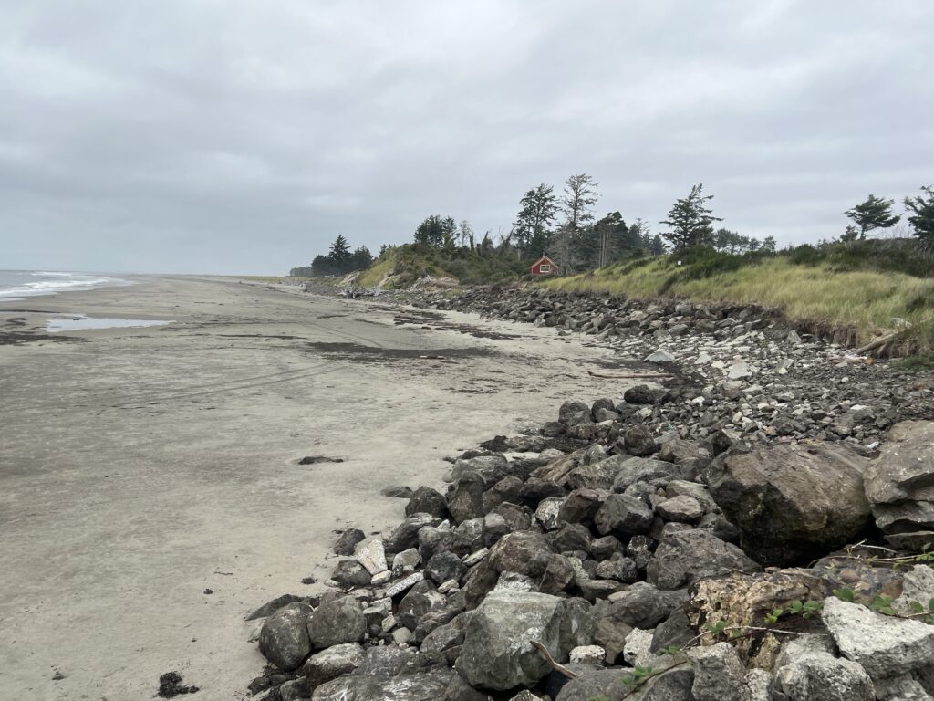a rocky beach with trees and a hill in the background (MyCoast AI)