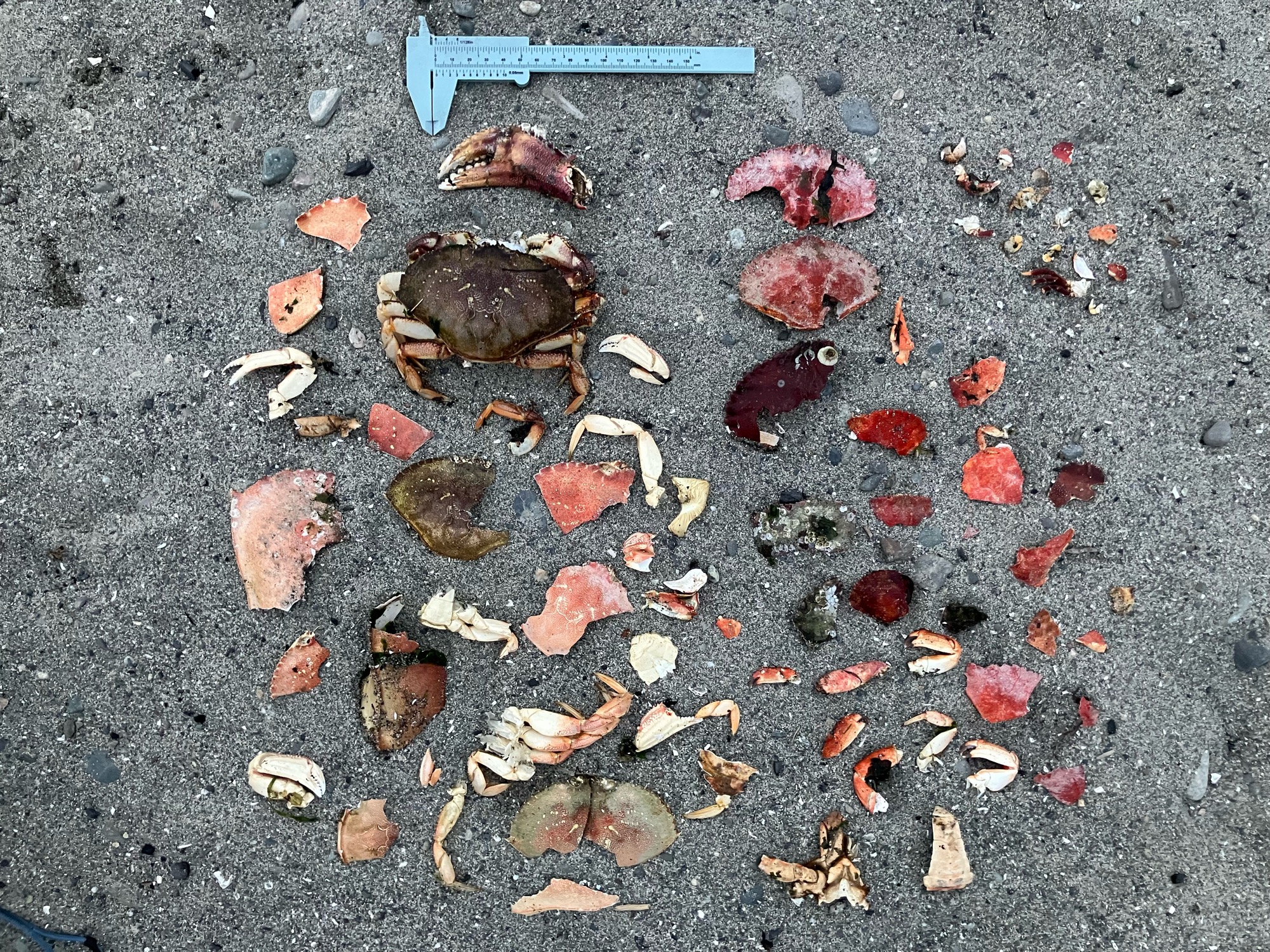 a6030e6e4228d7222b26fe1b522cdab73a30dd11