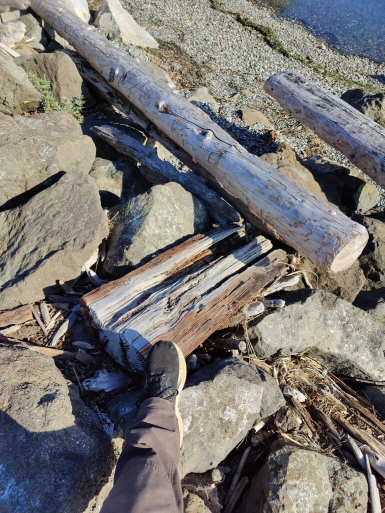 a person's feet on a log (MyCoast AI)