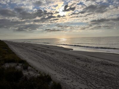 a beach with sand and water (MyCoast AI)