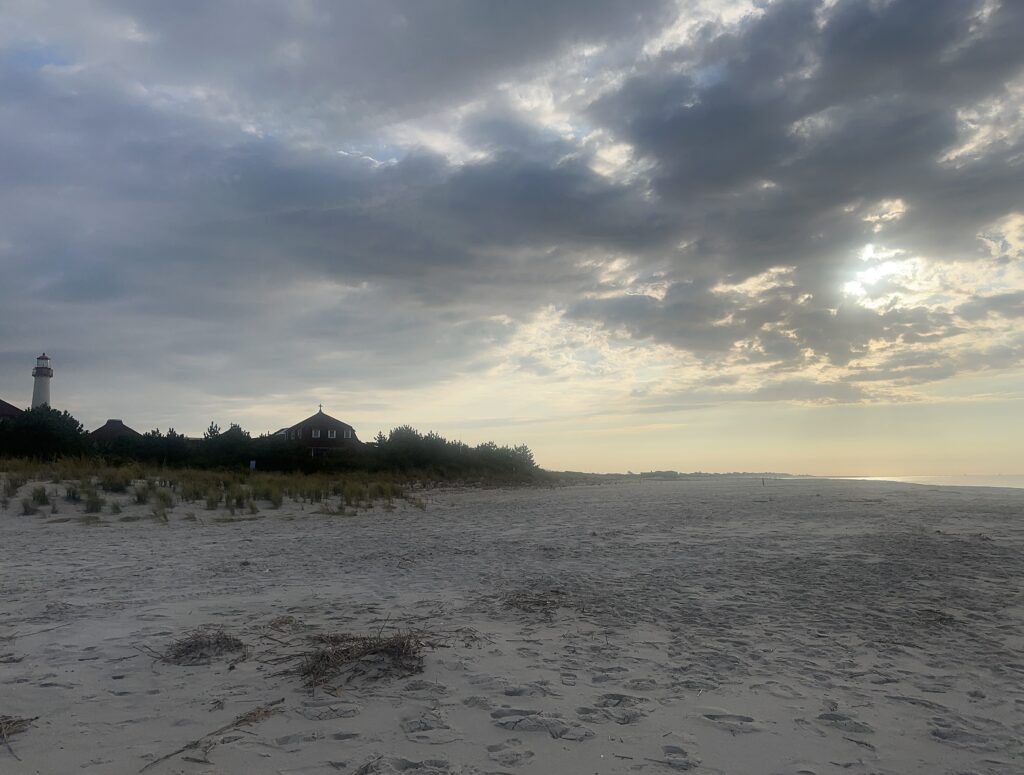 a beach with a lighthouse in the distance (MyCoast AI)