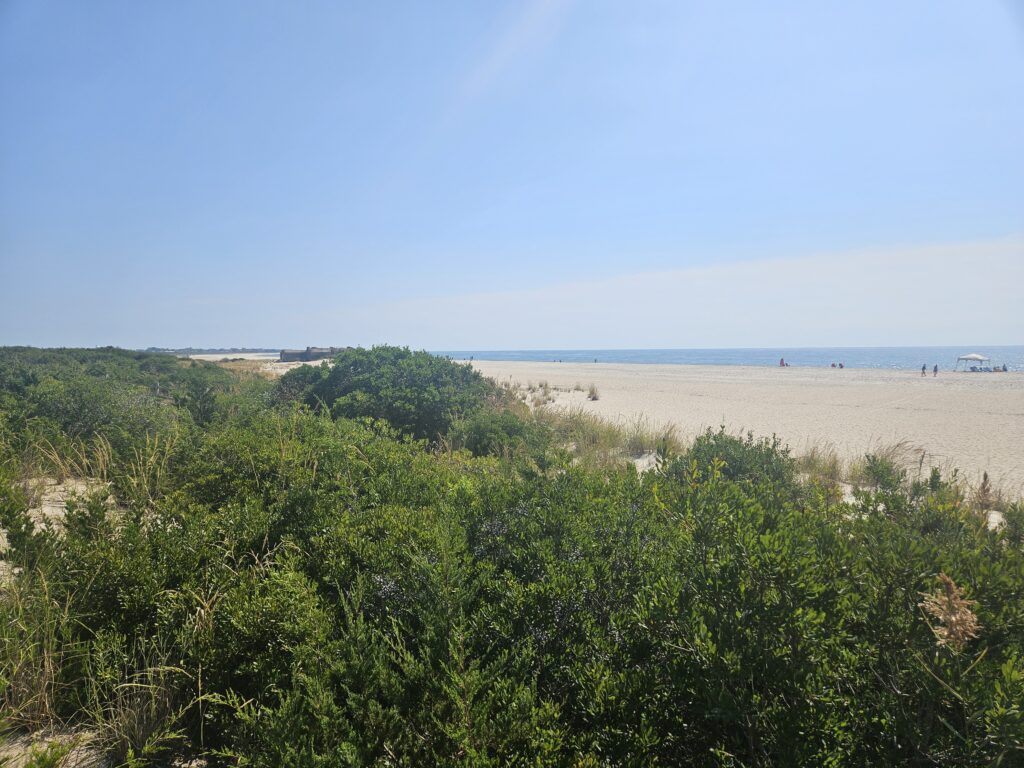 a landscape with trees and a body of water in the background (MyCoast AI)