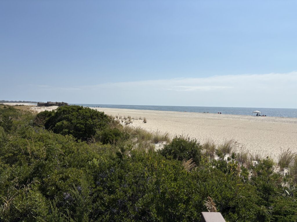 a sandy beach with trees (MyCoast AI)