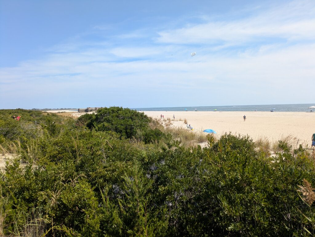 a beach with trees and bushes (MyCoast AI)