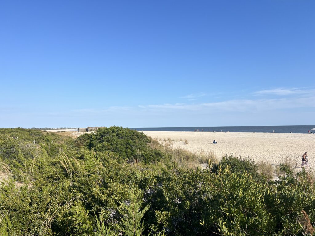 a field of green plants (MyCoast AI)