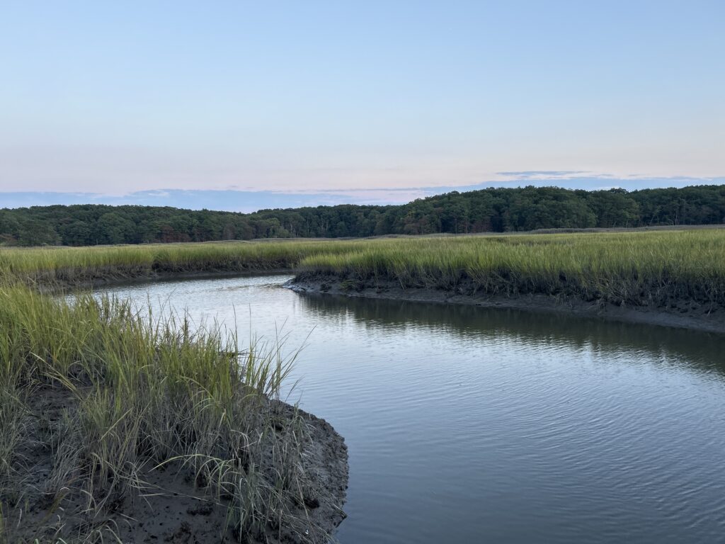 a body of water with grass and trees around it (MyCoast AI)