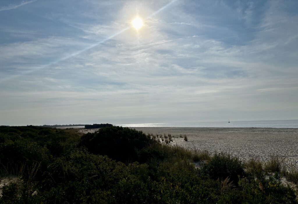 a beach with trees and bushes (MyCoast AI)