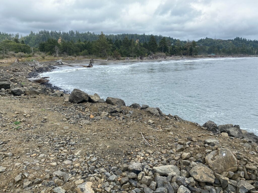 a rocky shore with a body of water and trees in the background (MyCoast AI)