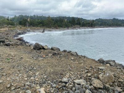 a rocky shore with a body of water and trees in the background (MyCoast AI)