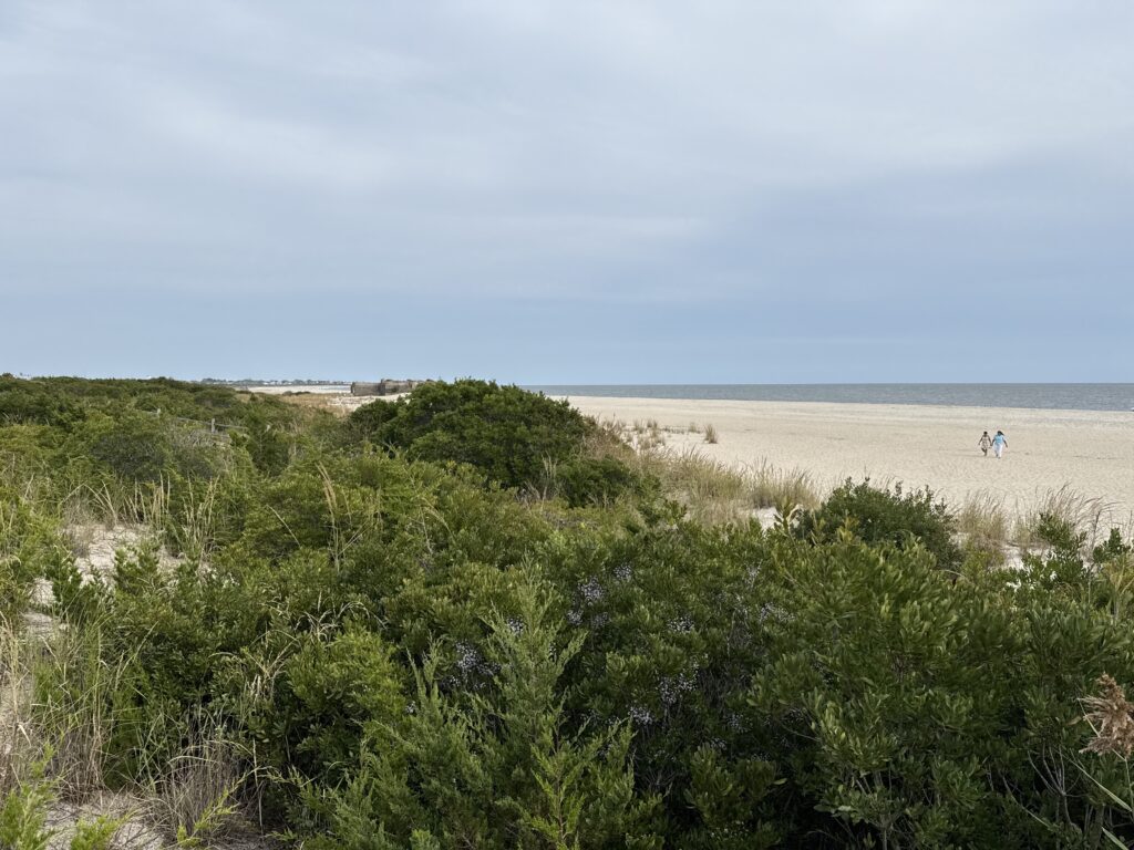 a group of people walking on a beach (MyCoast AI)