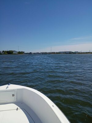 a boat on the water (MyCoast AI)