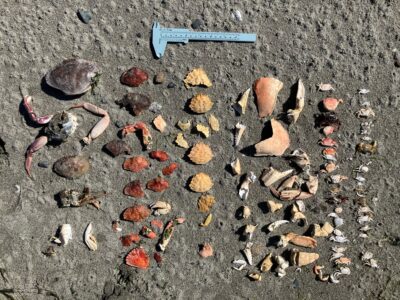 a blue shovel on the ground (MyCoast AI)