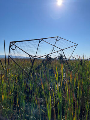 a metal frame in a field (MyCoast AI)