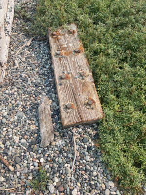 a group of wood pieces on a rocky surface (MyCoast AI)