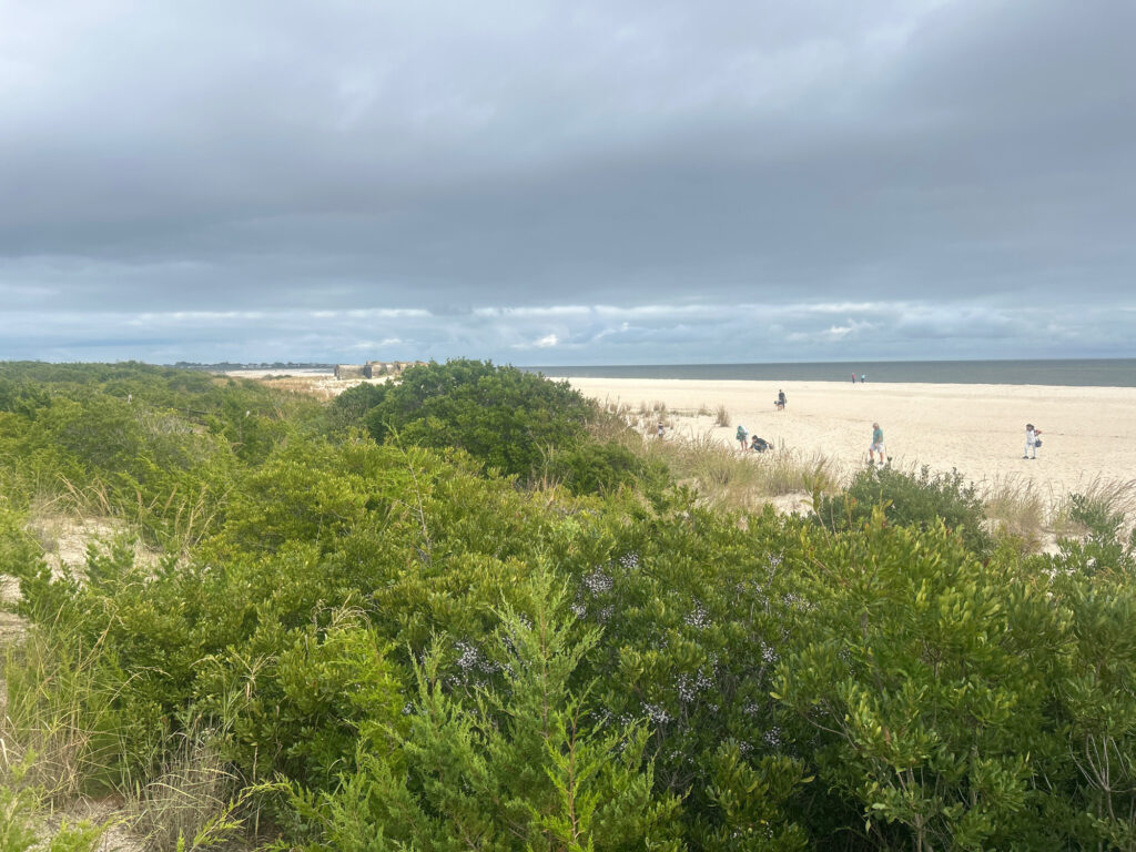 a group of people walking on a beach (MyCoast AI)