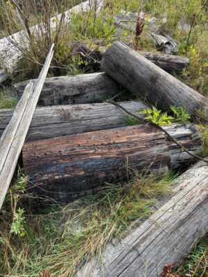 a wooden bridge over a stream (MyCoast AI)