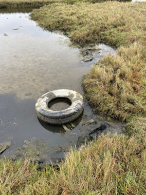 a tire in a puddle (MyCoast AI)