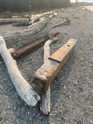 a wooden bench in a park (MyCoast AI)