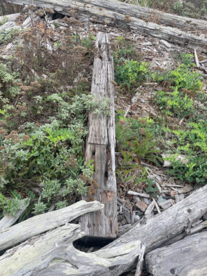 a wooden fence in a wooded area (MyCoast AI)
