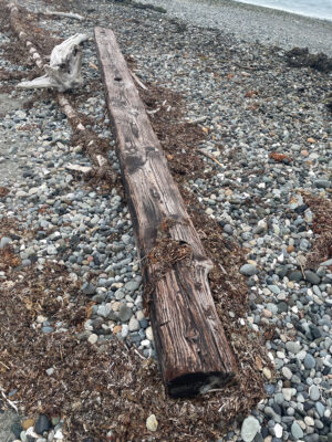 a piece of wood on a rocky surface (MyCoast AI)