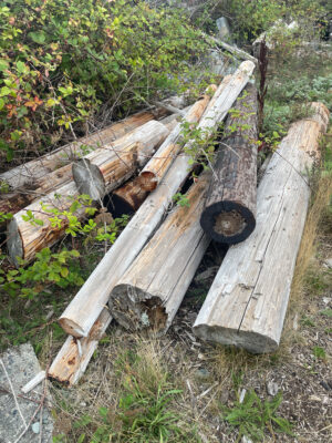 a wooden structure outside (MyCoast AI)