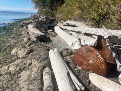 a rocky beach with a large pile of logs (MyCoast AI)
