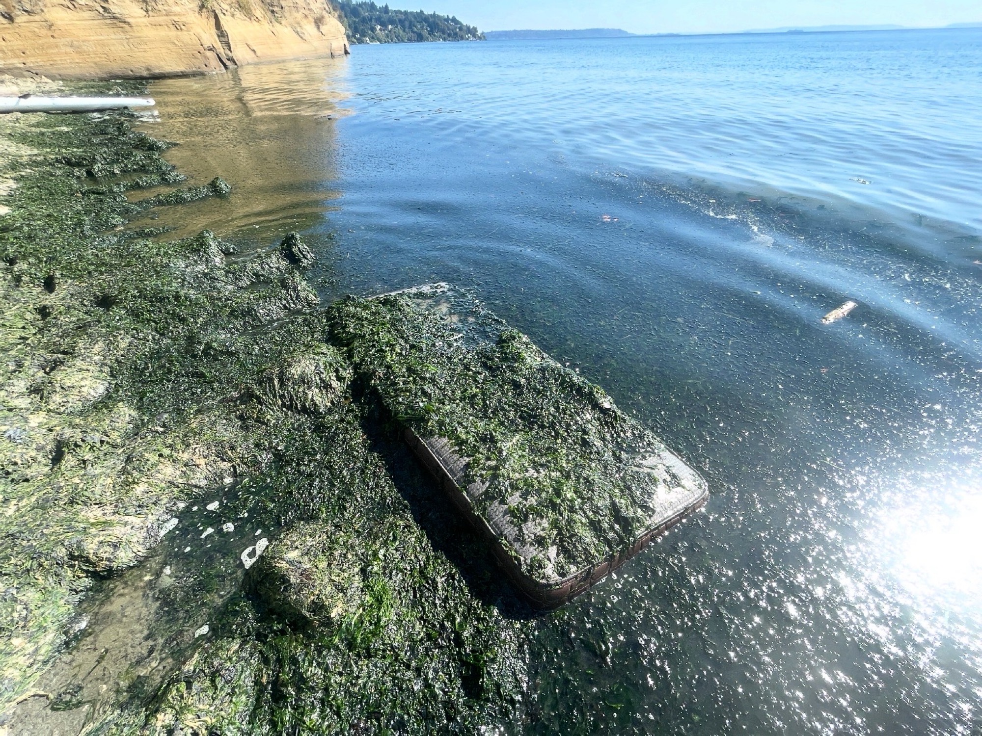 1845d6ddf104722ece360b9935d0f133e6cddc1c