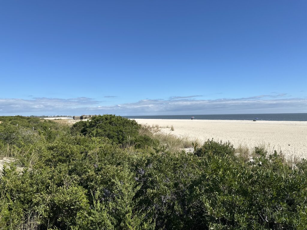 a large field with trees (MyCoast AI)