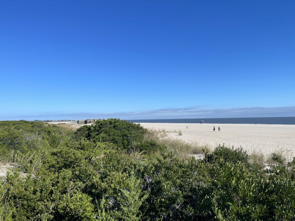 a group of people walking on a beach (MyCoast AI)