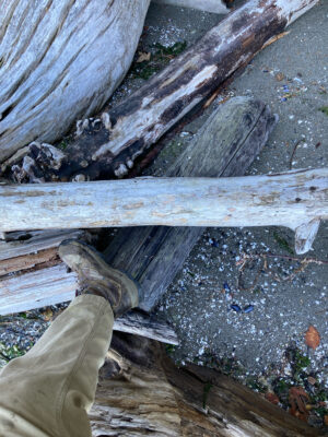 a person's foot on a wooden plank (MyCoast AI)