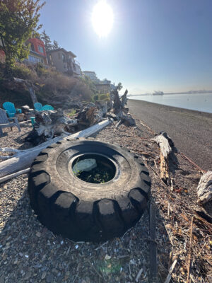 a tire on a beach (MyCoast AI)