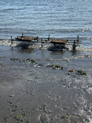 a beach with a pier (MyCoast AI)