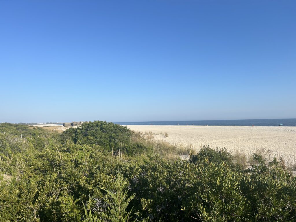 a landscape with trees and bushes (MyCoast AI)