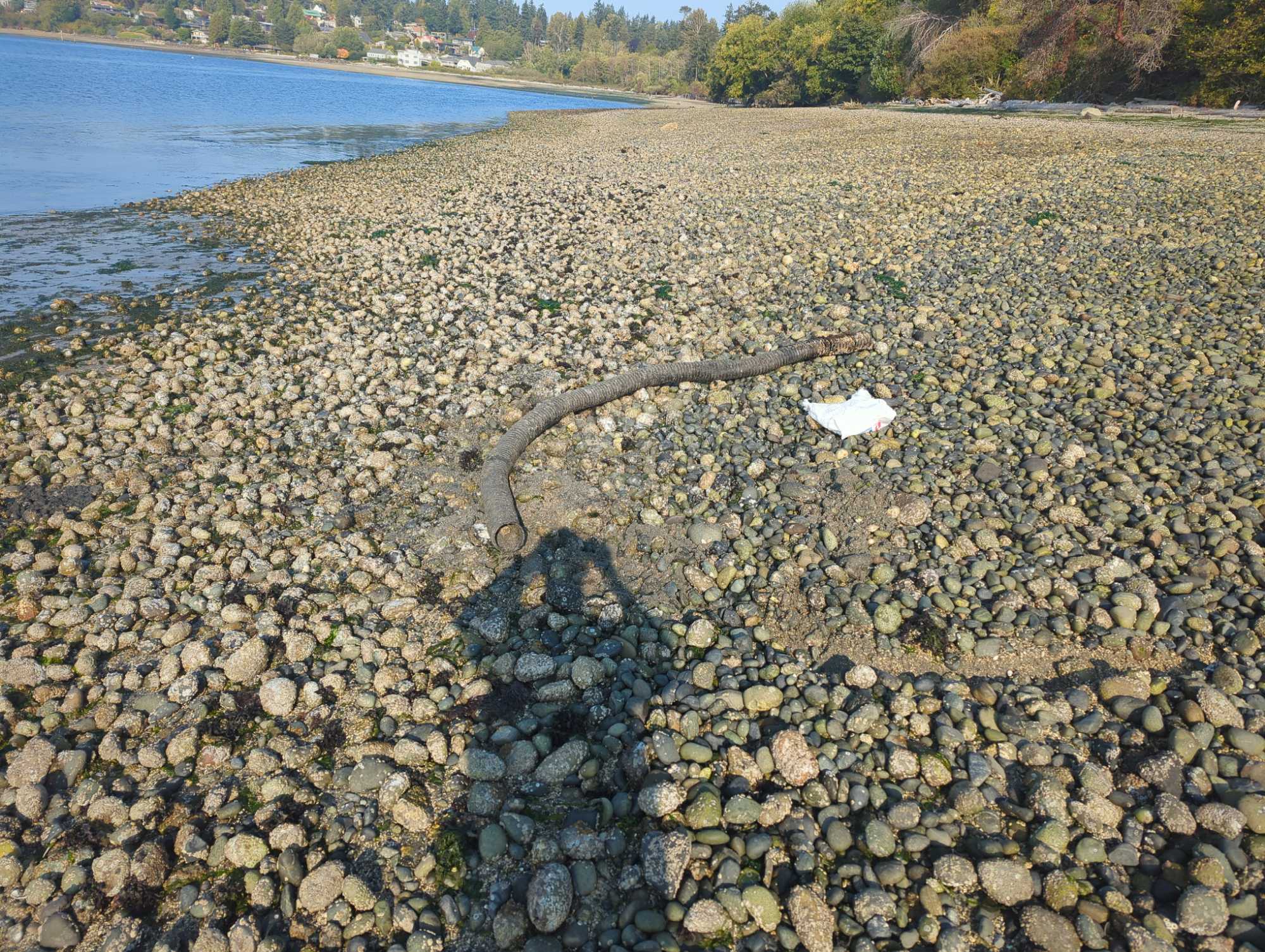 a6b3caa9e14c644b01d79c731b880da9a7c1fd08