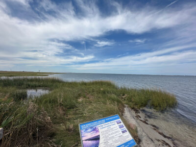 a book on a beach (MyCoast AI)