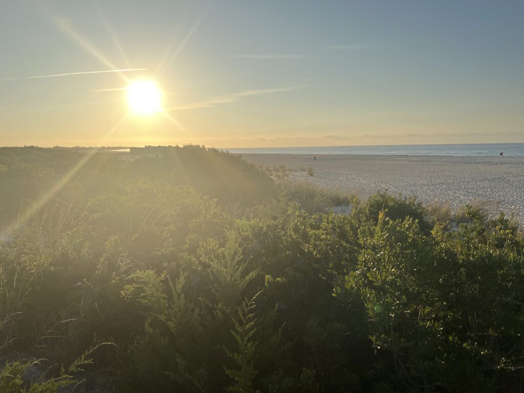 a landscape with trees and the sun in the background (MyCoast AI)