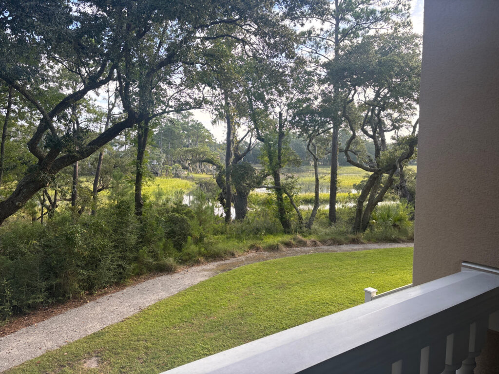 a view of a path through trees (MyCoast AI)