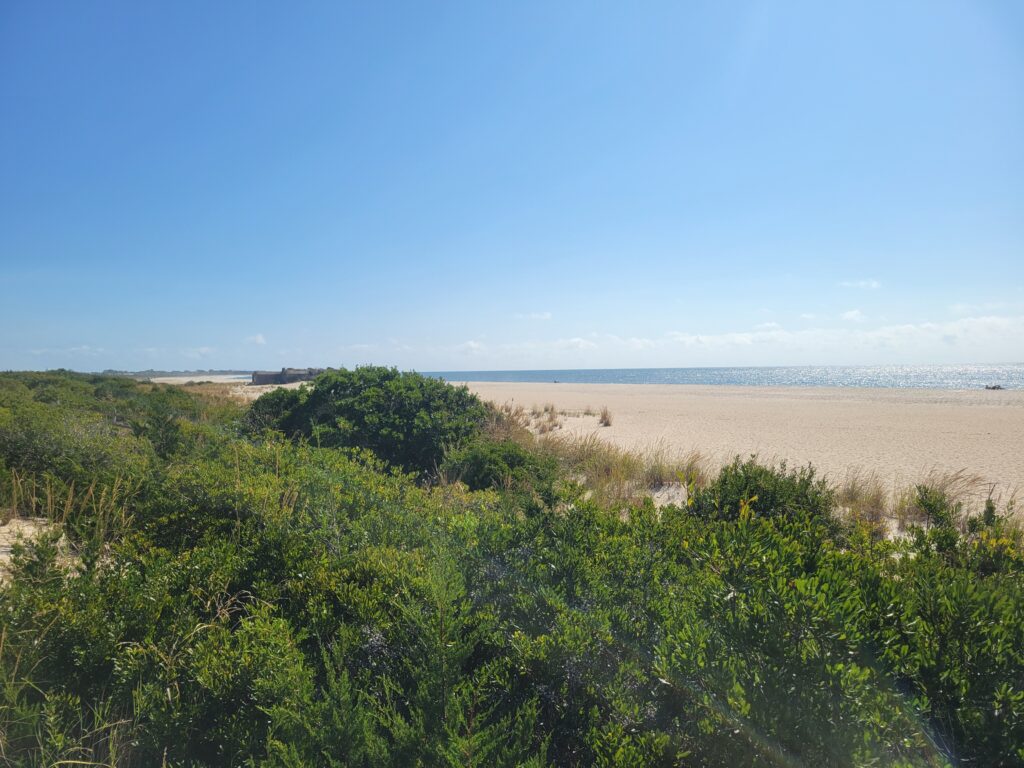 a landscape with trees and bushes (MyCoast AI)