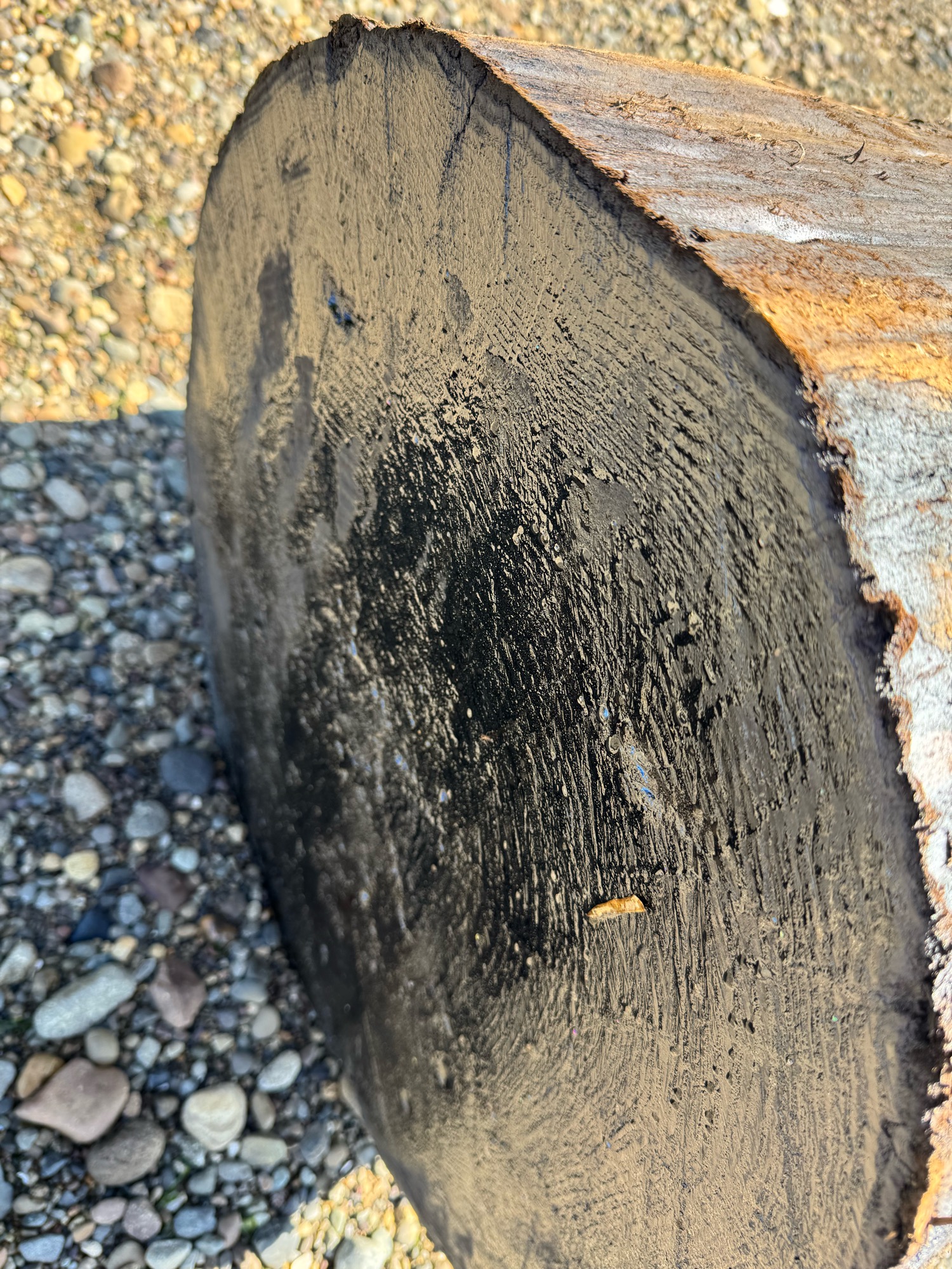 9ac3735666402f832c141195cd7eff987008c6ce