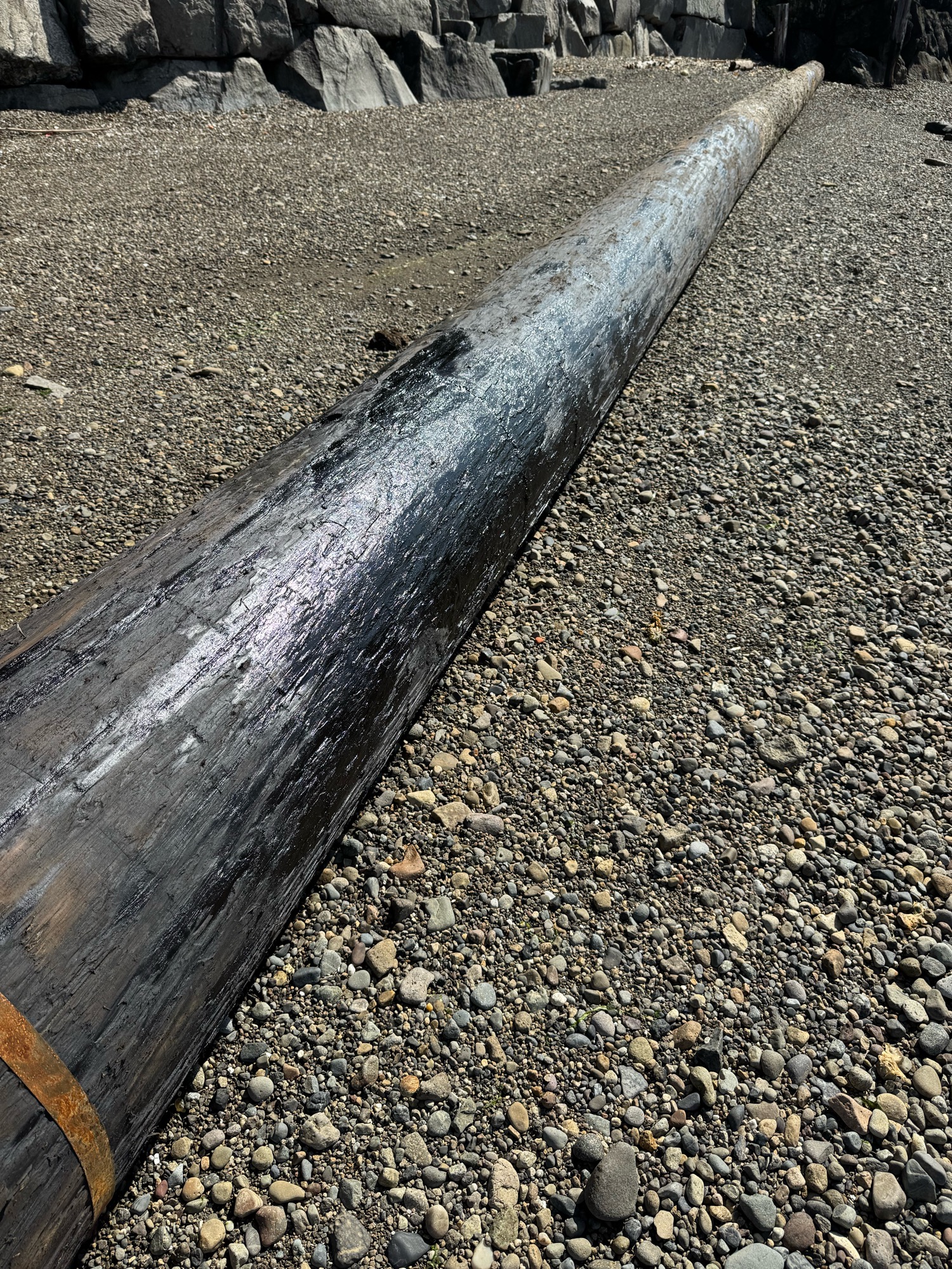 7904b69ed833aea3cdc8e5568a66e4472448950f