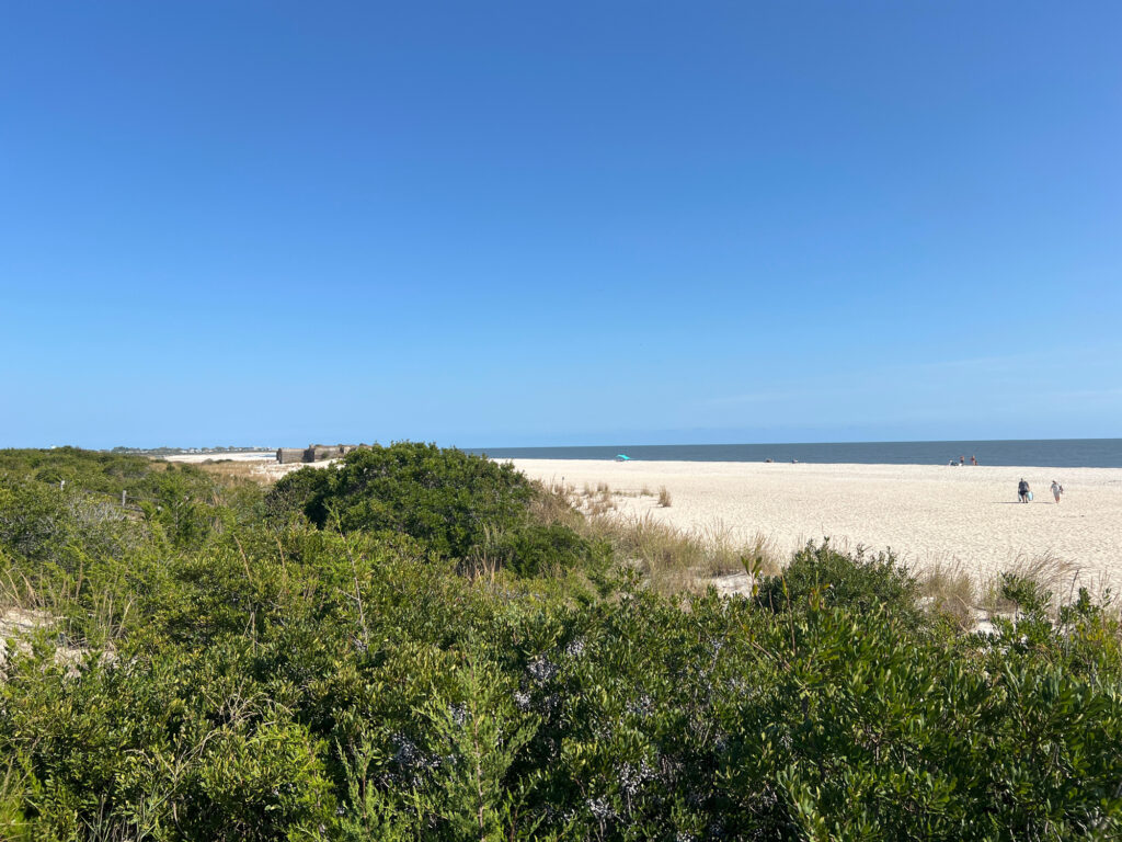 a sandy beach with bushes and trees (MyCoast AI)
