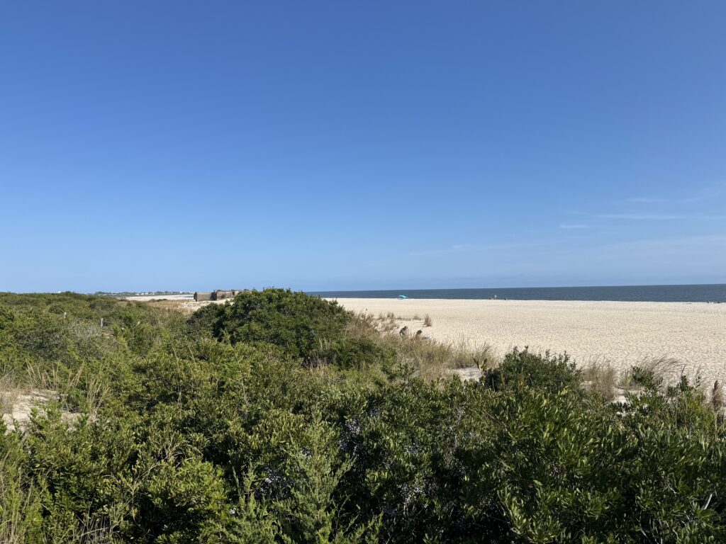 a landscape with trees and bushes (MyCoast AI)